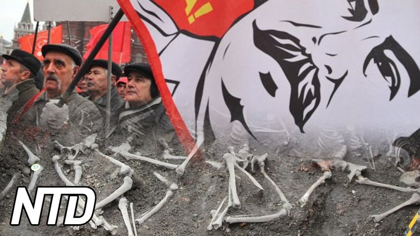 Ukraina gräver ut massgrav från Stalintiden | NTD NYHETER