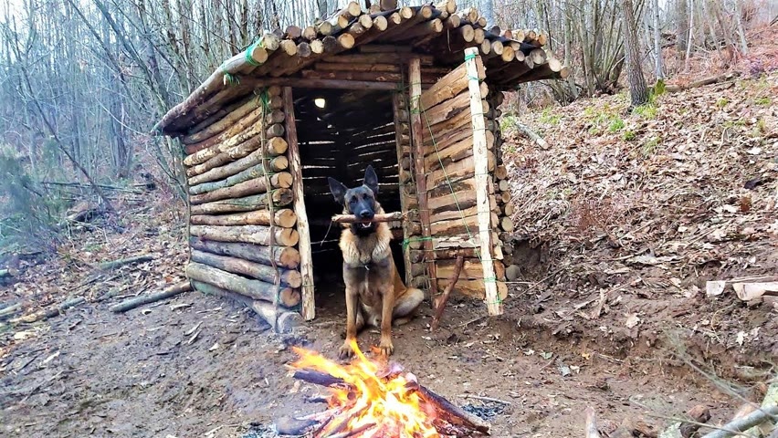Log Cabin Building in the Woods - Off Grid Living, Overnight Bushcraft Camping, Survival Skills