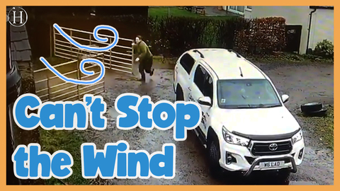 Hilarious Footage Shows UK Woman Struggle to Close Windblown Gates During Storm | Humanity Life