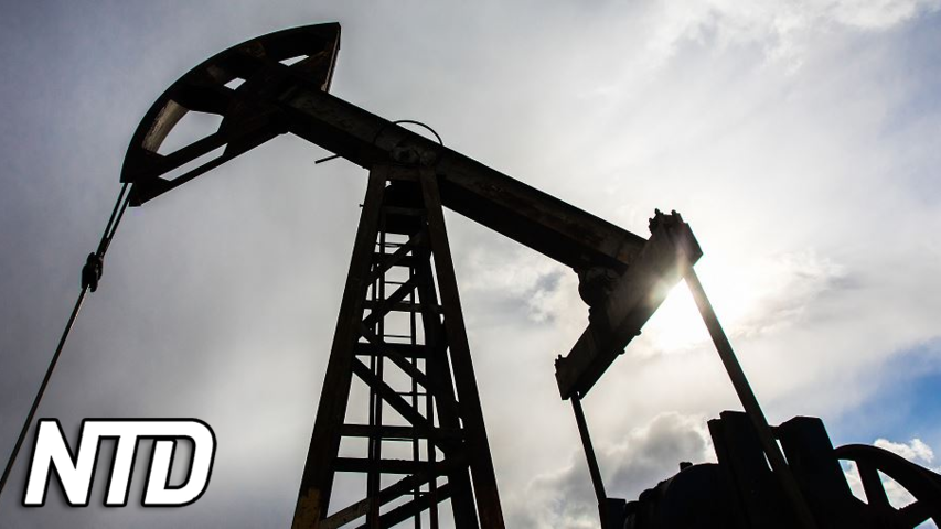 IEA: Största oljeförsörjningskrisen på flera decennier | NTD NYHETER