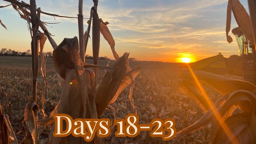 Days 18-23 / 2021 Fall Harvest / November 3-8