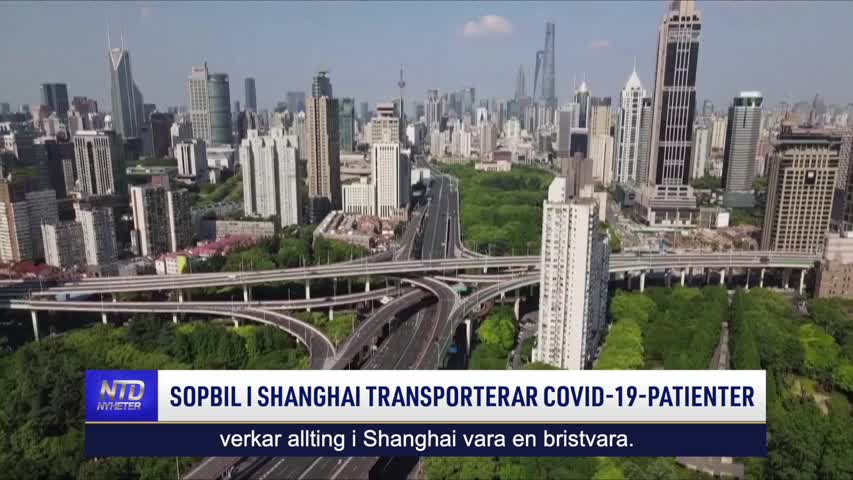 Sopbil i Shanghai transporterar covid-19-patienter | NTD NYHETER