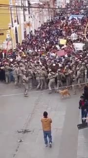 Protesters from Peru drive Peruvian police backward in a show of strength against the new provisional government