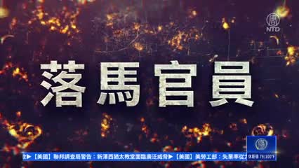 【落馬官員】上海原奉賢公安分局長唐麗娜被判12年 曾迫害法輪功