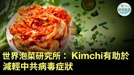 據韓聯社報道，研究發現，製作泡菜（Kimchi）的材料——白菜、辣椒、大蒜含有的營養成份能調節人體抗氧系統，對減輕新冠病毒（中共病毒）感染症狀發揮積極作用。｜#紀元生活