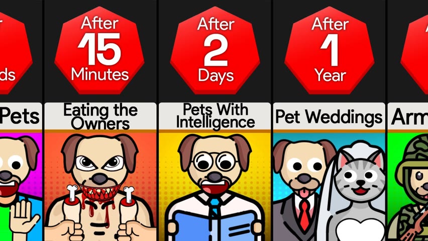 Timeline: What If Pets Swapped Bodies With Their Owner