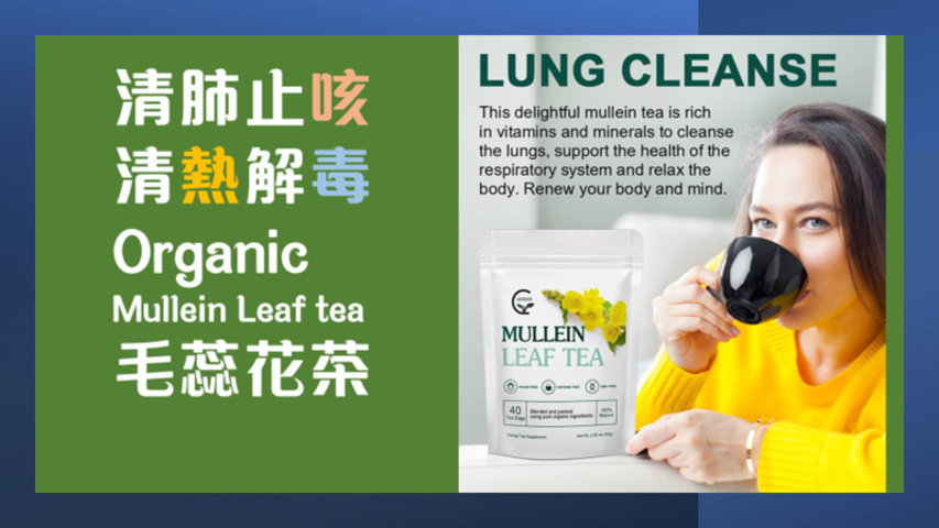 毛蕊花茶 (Mullein )清肺 草本茶   不含咖啡因
