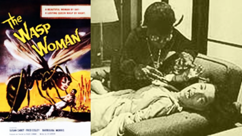 The Wasp Woman  1959  Susan Cabot  Roger Corman  Horror   Sci-Fi