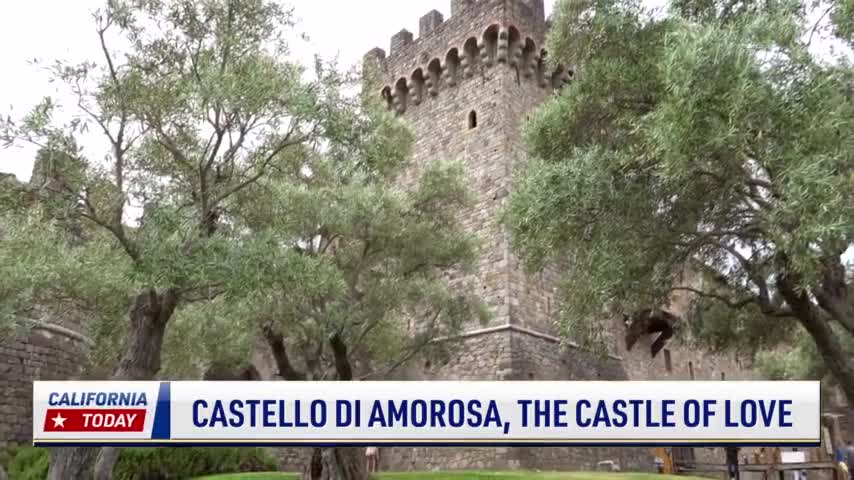 Castello Di Amorosa: The Castle of Love