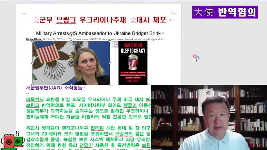 미국 군부 브링크 우크라이나 대사 반역죄로 체포