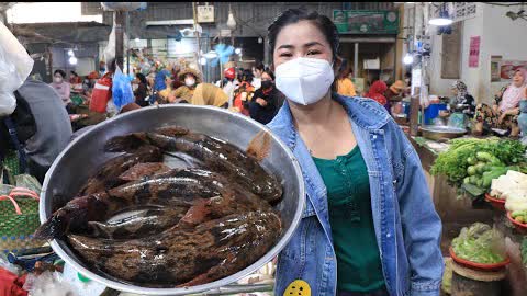 Market show, Buy Elephant fish for cooking / Water mimosa fried fish recipe