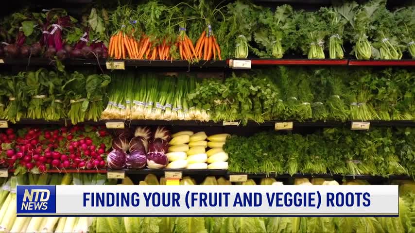 Finding Your (Fruit and Veggie) Roots