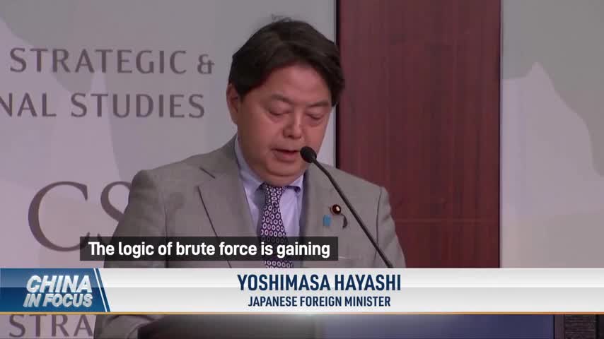 Japanese Minister: China Uses 'Logic of Brute Force'