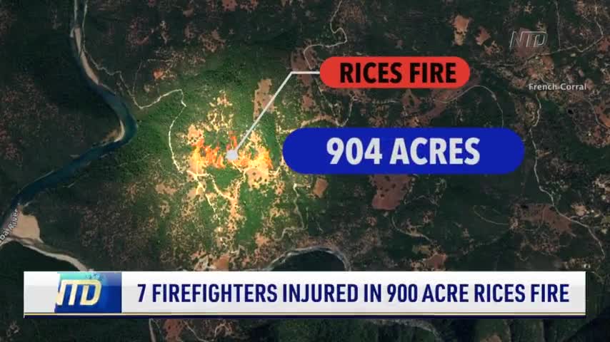 7 Firefighters Injured in 900 Acre Rices Fire