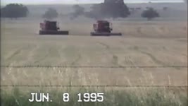 DAY 35 / 2022 Wheat Harvest - July 20 / 1995 Wheat Harvest (Part 1)
