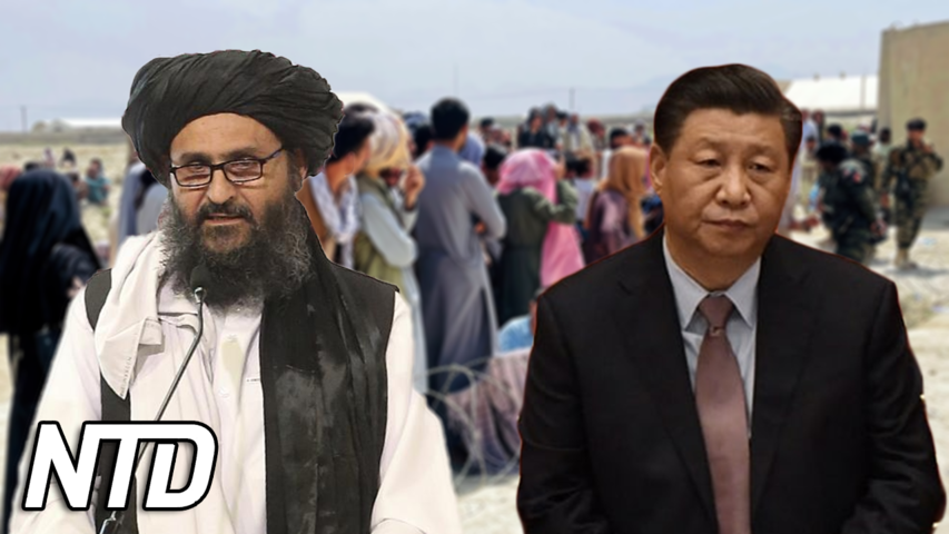 Expert: Kina sträcker ut en hand till talibanerna | NTD NYHETER