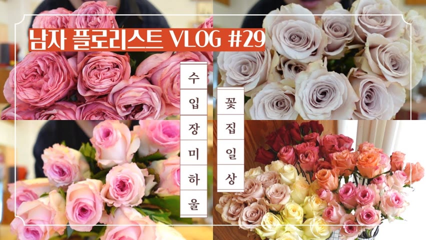 [SUB][#29 남자 플로리스트 브이로그] 콜럼비아 장미는 항상 예쁘다 / 수입장미 하울 / 부케 만들기 / Korean Male Florist Vlog
