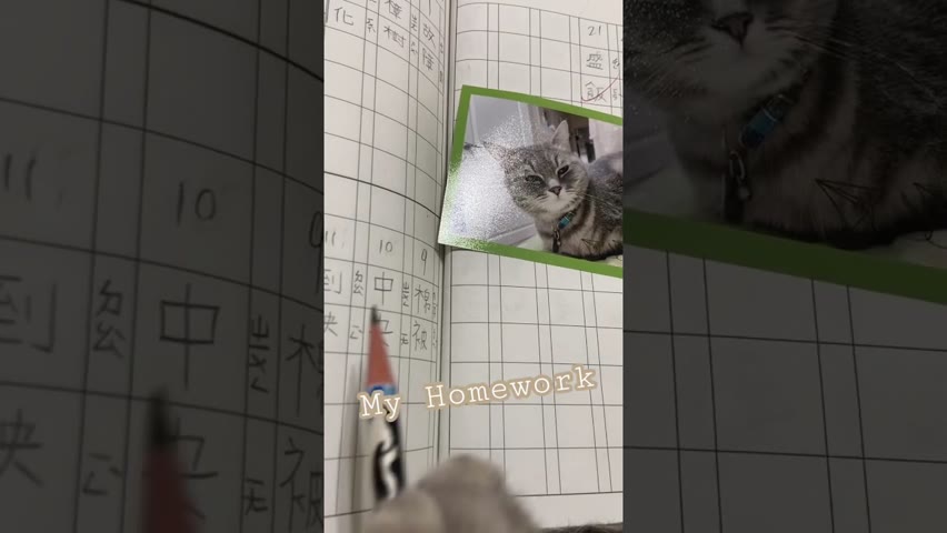 Cat”s Homework