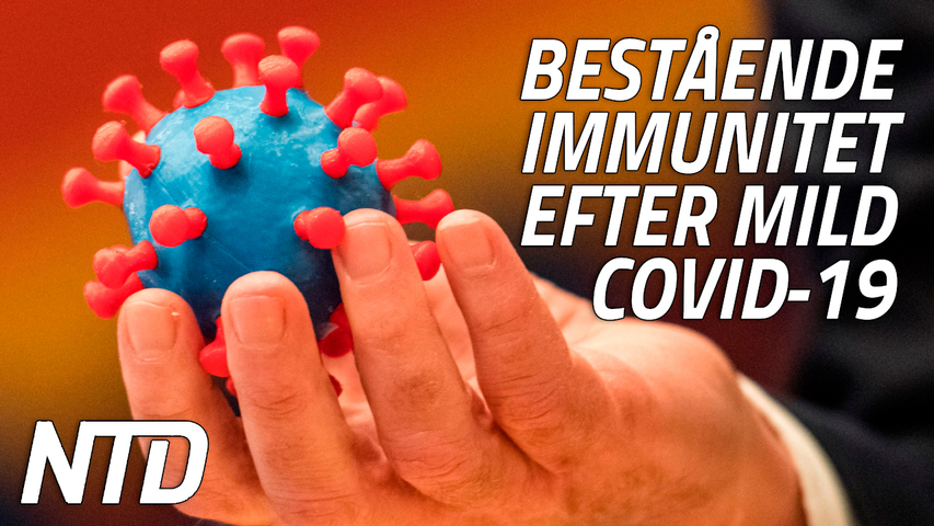 Bestående immunitet efter mild covid-19, enligt ny studie | NTD NYHETER