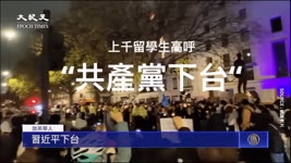 【焦點】不讓勇士孤單🎯海外華人聲援國內抗議合集💪  | 台灣大紀元時報