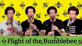 Rimsky-Korsakov Flight of the Bumblebee | Nicolas Baldeyrou clarinet quartet !