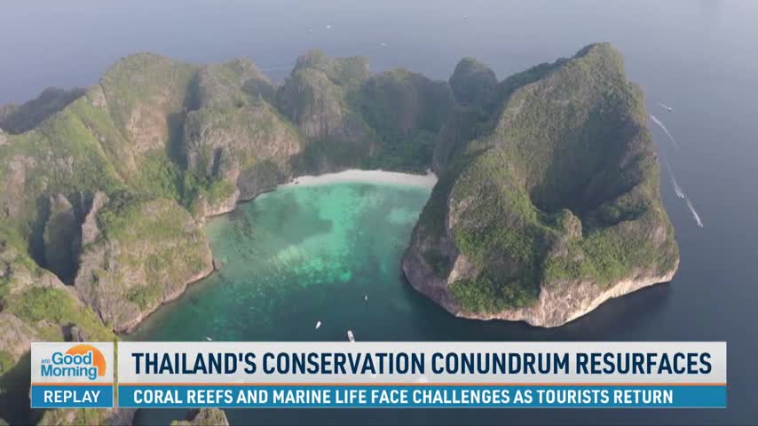 Thailand's Conservation Conundrum Resurfaces as Tourists Return