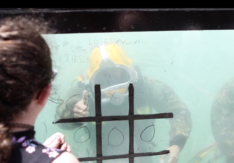 Navy Divers Give Insights Into Working-Life Underwater