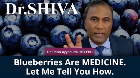 Blueberries Are Medicine. Let Me Tell You How.