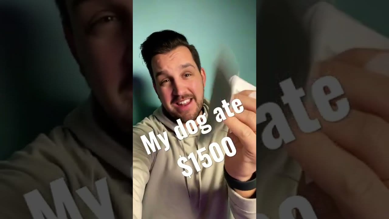 My DOG ATE my $1500 CHEQUE!!