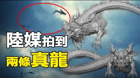 🔥🔥大陸媒體拍到2條真龍...青海湖惊現12米長巨龍❗台灣錄到龍的叫聲❗❗
