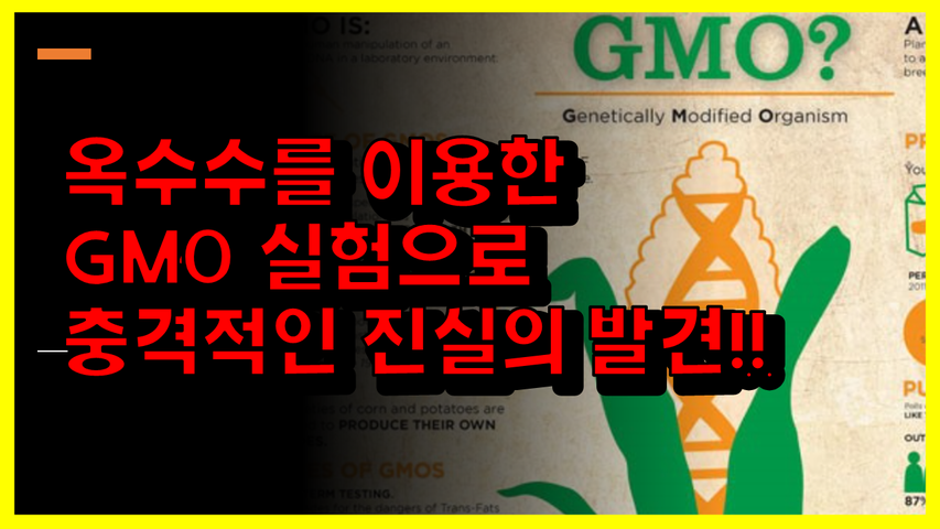 [#599] 옥수수를 이용한 GMO 실험으로 충격적인 진실의 발견!!