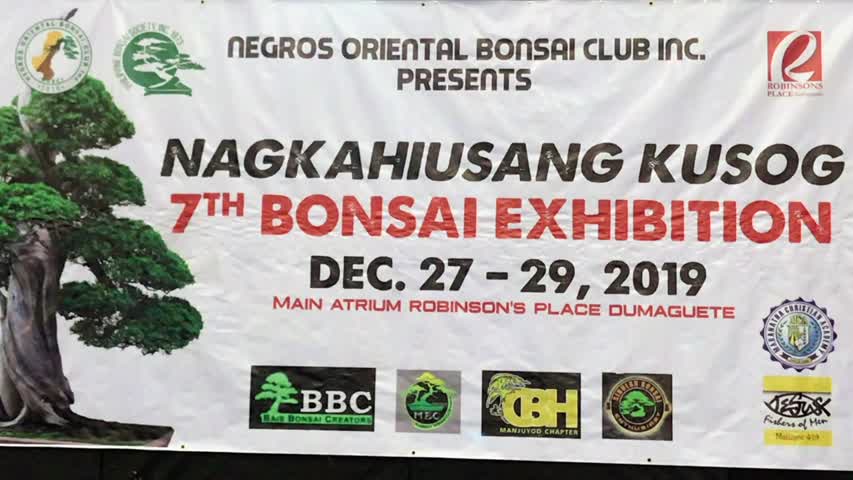 Bonsai Show 2019 Dumaguete, Negros Oriental, Philippines