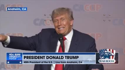 President Donald Trump: &quot;We&apos;re gonna get them the hell out of our country&quot;