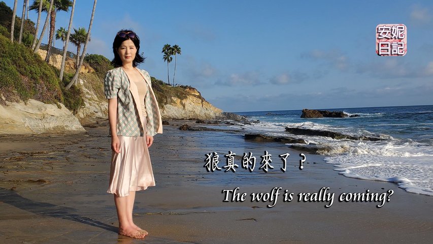 (071)狼真的來了？ The wolf is really coming?【安妮日記】