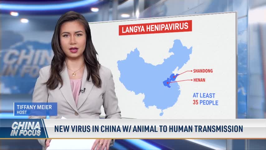 New Virus in China With Animal to Human Transmission