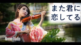 また君に恋してる - 坂本冬美  バイオリン(Violin Cover by Momo)
