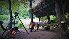 Build Bushcraft Shelter, 3 Days Solo Camp, Wild Camping, Primitive Technology, Survival Skills