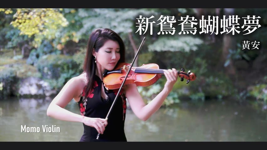 新鴛鴦蝴蝶夢 - 黃安《包青天》小提琴 (Violin Cover by Momo)