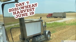 Day 7 - 2021 Wheat Harvest / June  19 (Medicine Lodge, Kansas)