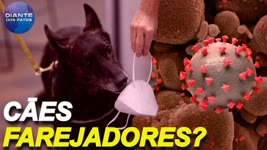 Cães farejadores do vírus?; brasileira é encontrada morta no deserto ao tentar emigrar para os EUA