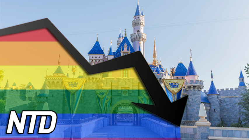 VD: Olika värderingar bidrar till Disneys nedgång | NTD NYHETER