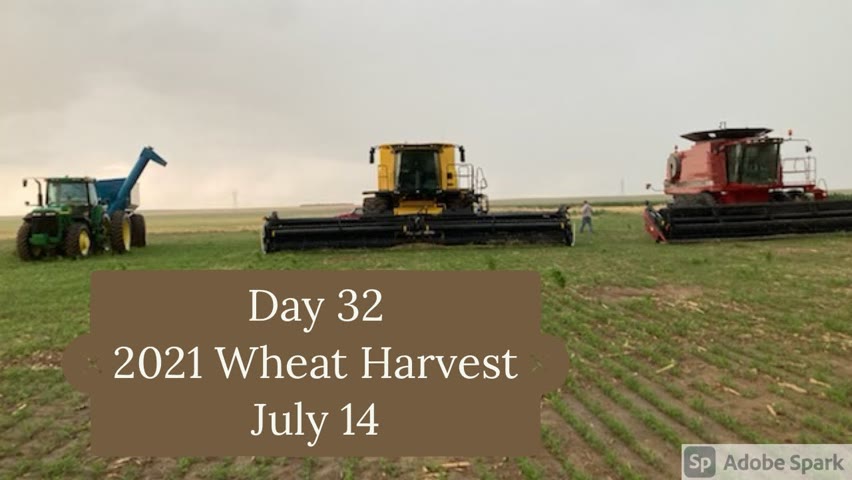 Day 32 - 2021 Wheat Harvest / July 14 (New Raymer, CO)