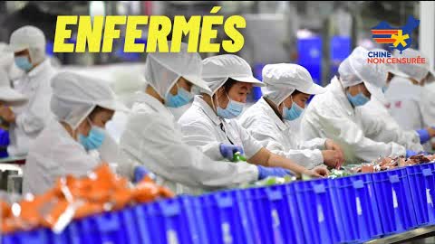 [VF] Shanghai enferme les travailleurs dans les usines en raison d'une alerte au covoiturage