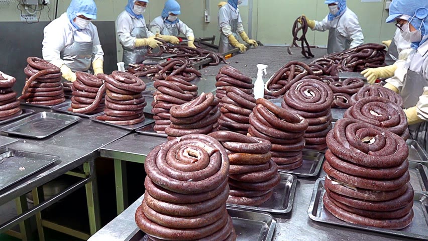 순대공장 Amazing mass production! Blood sausage (sundae) making process - Korean food factory