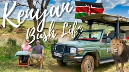 WILD Safari Camp NO FENCE / Every Big Cat Before 10am /🇰🇪 Maasai Mara National Reserve Kenya