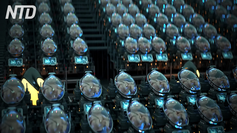 Matrix è realtà: un’azienda vende spazi artificiali per la gestazione di embrioni umani 