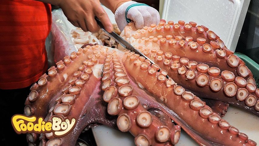 17kg Giant Octopus - Korean Street Food