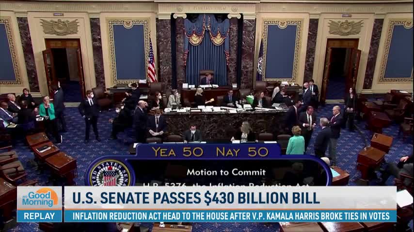Senate Passes Democrats' Health and Climate Bill