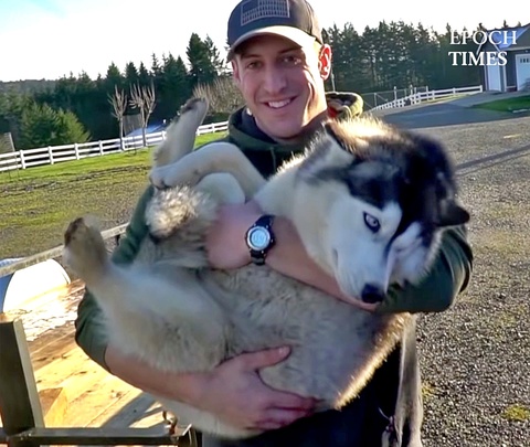 US Firefighter Rescues Husky From Train Tracks and Brings It Home