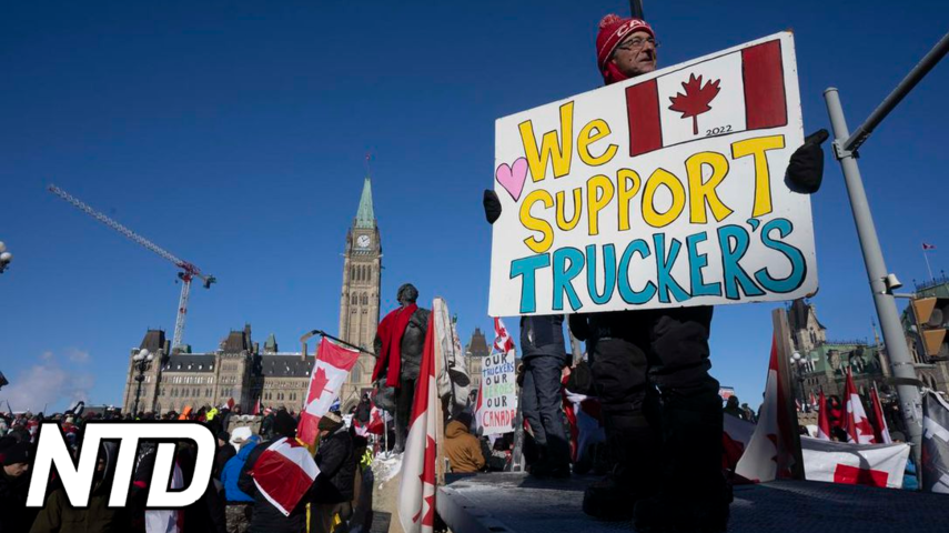 "Freedom Convoy" i Kanadas huvudstad | NTD NYHETER